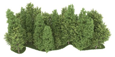 Realistic forest isolated on white background. 3d rendering - illustration