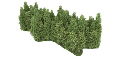 Realistic forest isolated on white background. 3d rendering - illustration