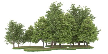 Realistic forest isolated on white background. 3d rendering - illustration