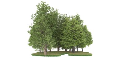 Realistic forest isolated on white background. 3d rendering - illustration