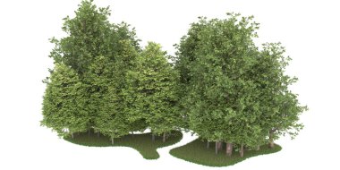 Realistic forest isolated on white background. 3d rendering - illustration