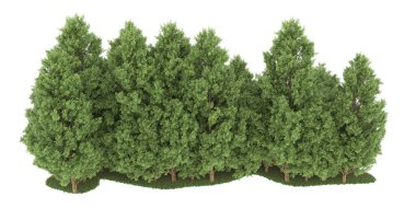 Realistic forest isolated on white background. 3d rendering - illustration
