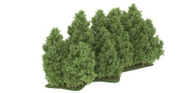 Realistic forest isolated on white background. 3d rendering - illustration