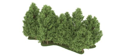 Realistic forest isolated on white background. 3d rendering - illustration