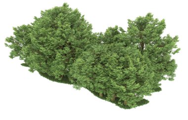 Realistic forest isolated on white background. 3d rendering - illustration