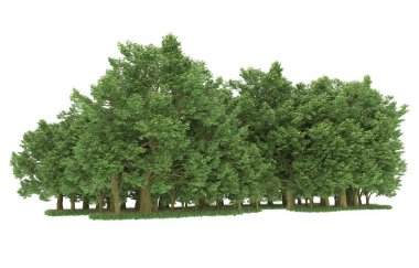 Realistic forest isolated on white background. 3d rendering - illustration