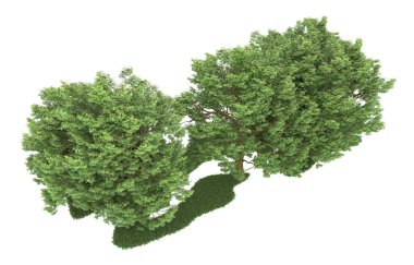 Realistic forest isolated on white background. 3d rendering - illustration