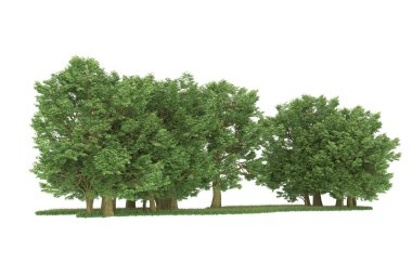Realistic forest isolated on white background. 3d rendering - illustration