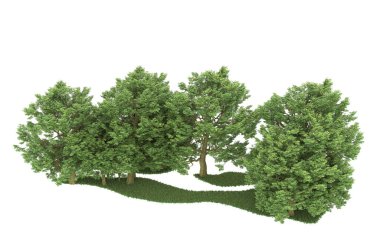 Realistic forest isolated on white background. 3d rendering - illustration