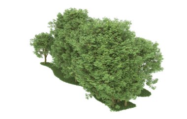 Realistic forest isolated on white background. 3d rendering - illustration