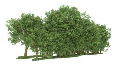 Realistic forest isolated on white background. 3d rendering - illustration