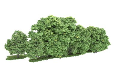 Realistic forest isolated on white background. 3d rendering - illustration