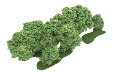 Realistic forest isolated on white background. 3d rendering - illustration