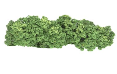 Realistic forest isolated on white background. 3d rendering - illustration