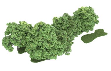 Realistic forest isolated on white background. 3d rendering - illustration
