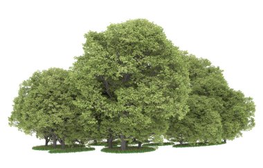 Realistic forest isolated on white background. 3d rendering - illustration