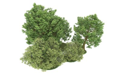 Realistic forest isolated on white background. 3d rendering - illustration
