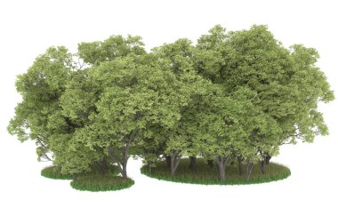 Realistic forest isolated on white background. 3d rendering - illustration