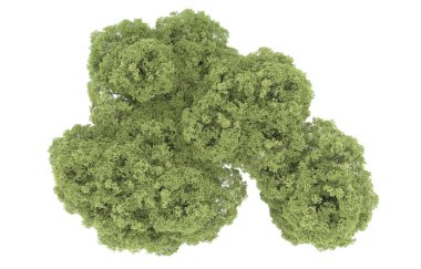 Realistic forest isolated on white background. 3d rendering - illustration