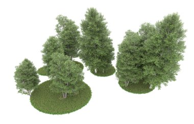 Realistic forest isolated on white background. 3d rendering - illustration