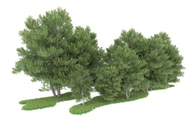 Realistic forest isolated on white background. 3d rendering - illustration