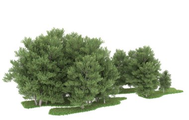 Realistic forest isolated on white background. 3d rendering - illustration