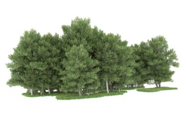 Realistic forest isolated on white background. 3d rendering - illustration