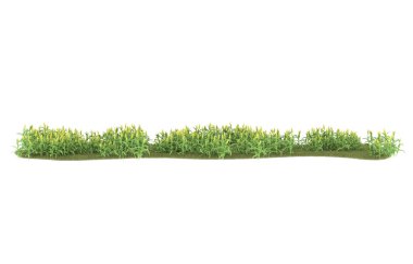 Realistic forest isolated on white background. 3d rendering - illustration