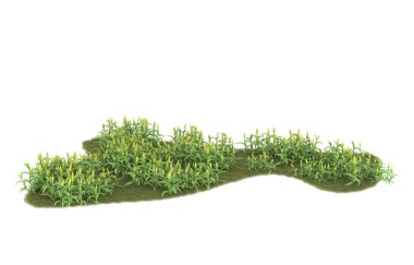 Realistic forest isolated on white background. 3d rendering - illustration