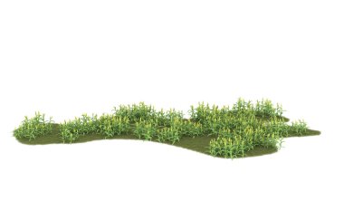 Realistic forest isolated on white background. 3d rendering - illustration
