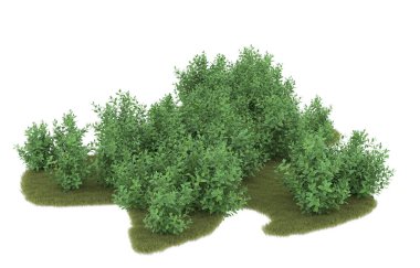 Field of grass isolated on white background. 3d rendering - illustration