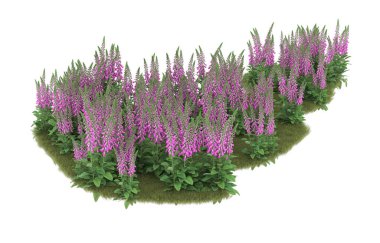 Field of grass isolated on white background. 3d rendering - illustration