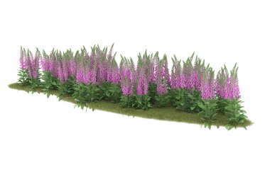 Field of grass isolated on white background. 3d rendering - illustration