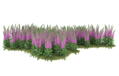 Field of grass isolated on white background. 3d rendering - illustration