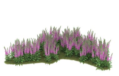 Field of grass isolated on white background. 3d rendering - illustration