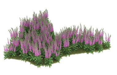 Field of grass isolated on white background. 3d rendering - illustration