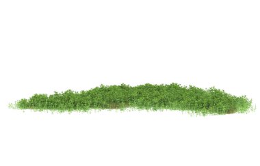 Field of grass isolated on white background. 3d rendering - illustration