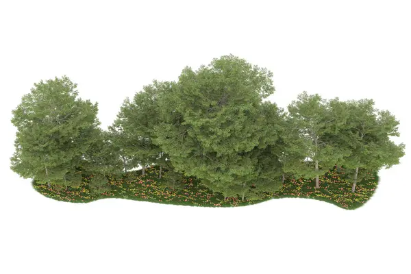 Realistic forest isolated on white background. 3d rendering - illustration