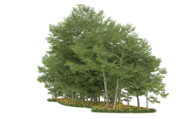 Realistic forest isolated on white background. 3d rendering - illustration
