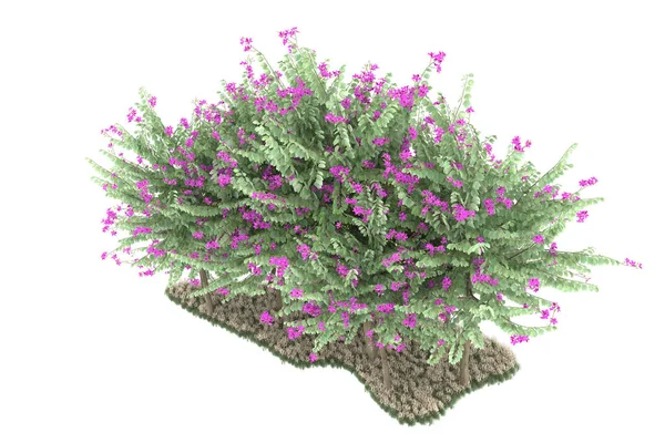 Realistic forest isolated on white background. 3d rendering - illustration