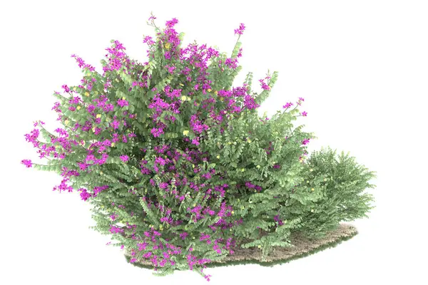 Realistic forest isolated on white background. 3d rendering - illustration