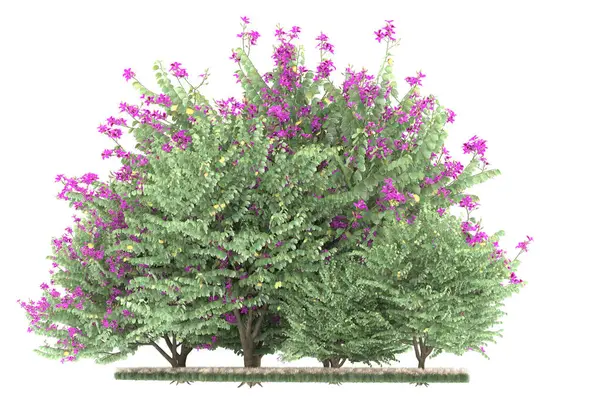 Realistic forest isolated on white background. 3d rendering - illustration