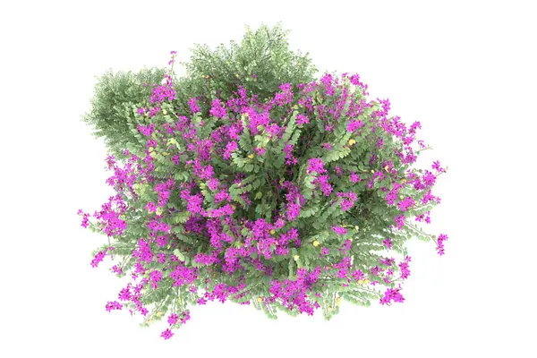 Realistic forest isolated on white background. 3d rendering - illustration