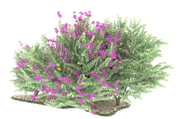 Realistic forest isolated on white background. 3d rendering - illustration