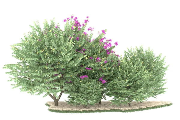 Realistic forest isolated on white background. 3d rendering - illustration