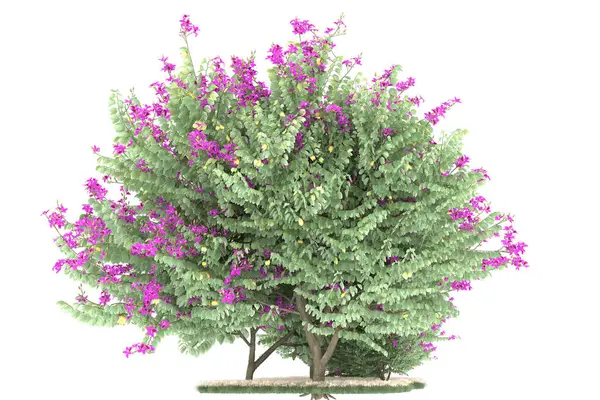 Realistic forest isolated on white background. 3d rendering - illustration