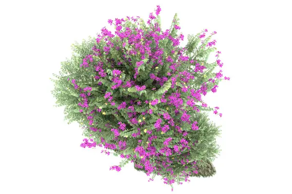 Realistic forest isolated on white background. 3d rendering - illustration