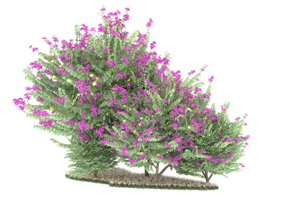 Realistic forest isolated on white background. 3d rendering - illustration