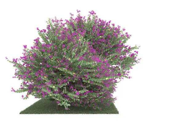 Realistic forest isolated on white background. 3d rendering - illustration