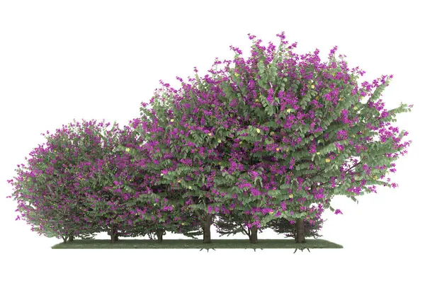 Realistic forest isolated on white background. 3d rendering - illustration